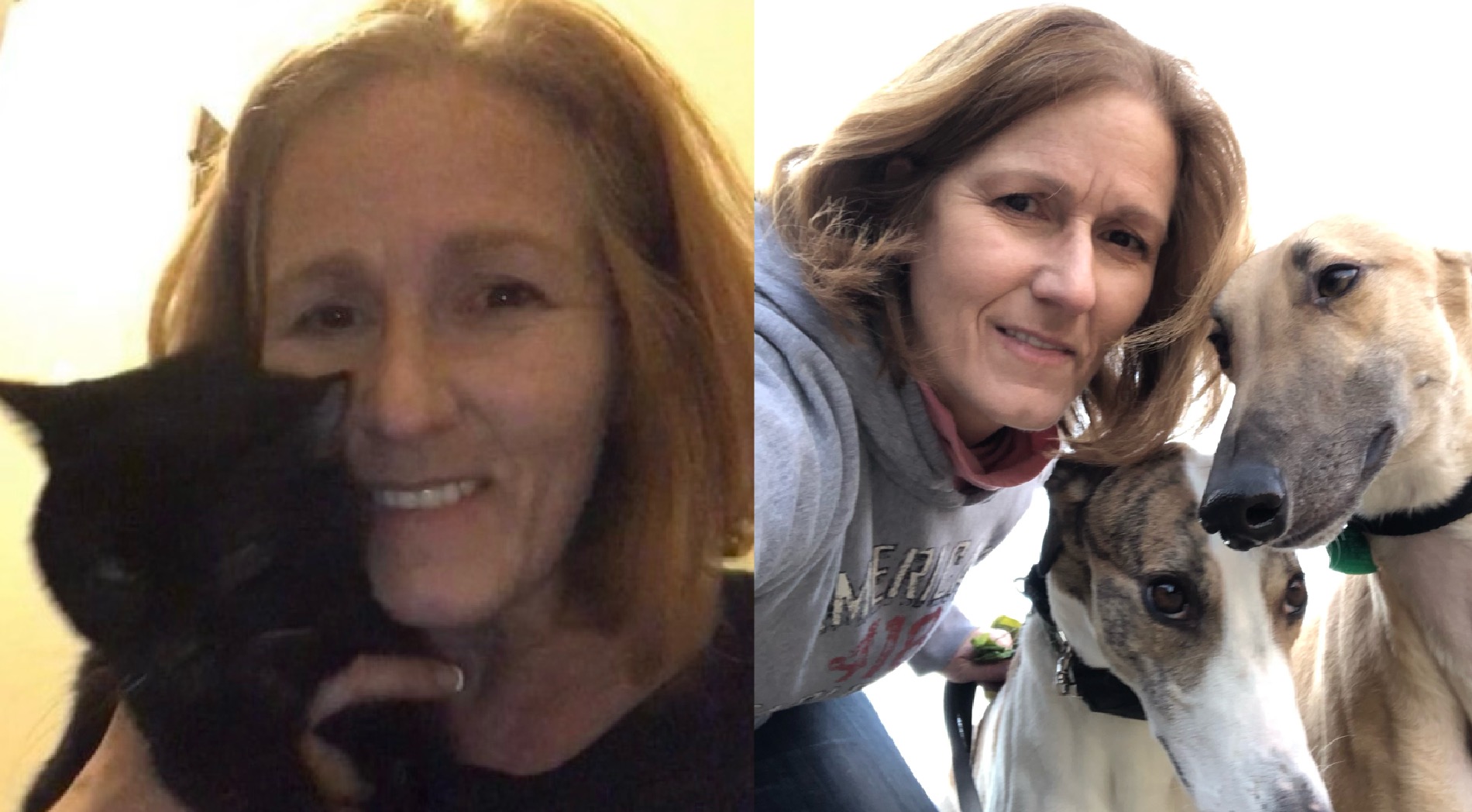 Our Staff Steel City Pet Sitters and Dog Walkers, Pittsburgh, PA